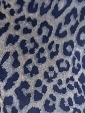 Denim fabric F-038, Cherryrose Textile 2027 sourcing